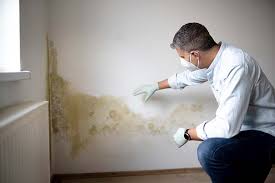 Best Airborne Mold Testing  in Newman, CA